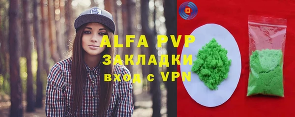 СК Алексин