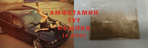 СК Алексин