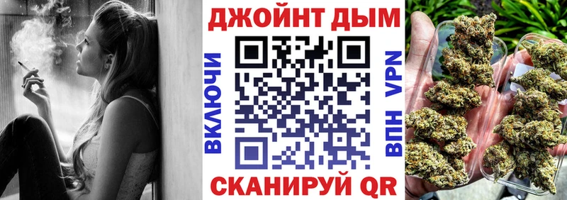 Канабис планчик наркота Новоузенск